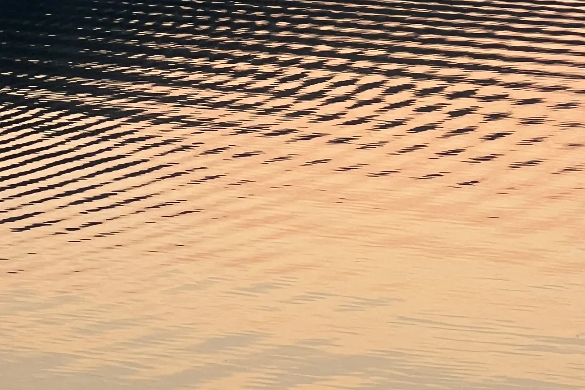 Gentle ripples spreading across still water